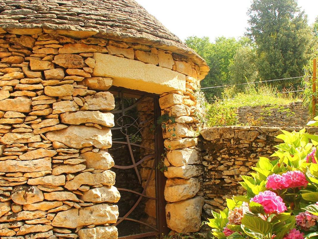 Chambres D'Hotes Avec Piscine La Rossillonie Beynac-et-Cazenac Esterno foto